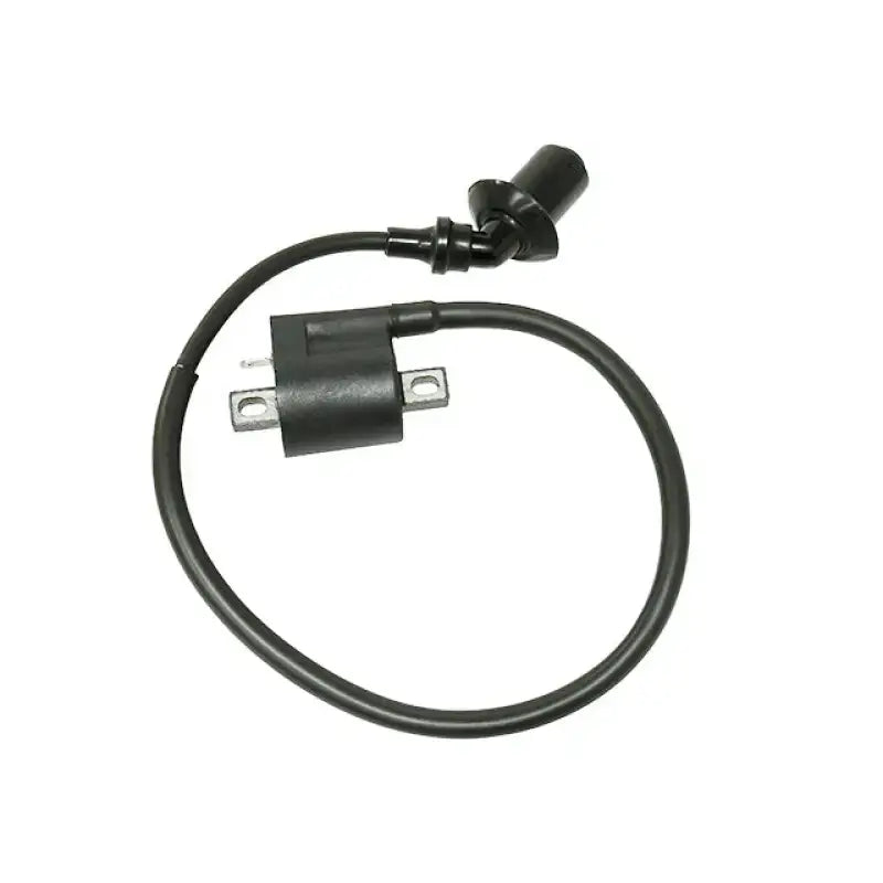 AT-01680 Atv Ignition Coil - ATV