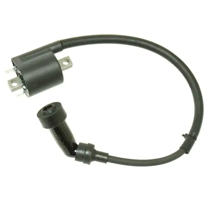 AT-01696 Atv Ignition Coil - ATV