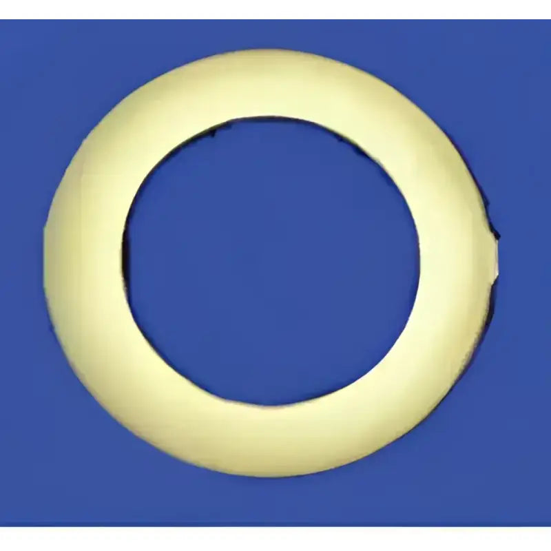 06465 Hose End Fitting Seal