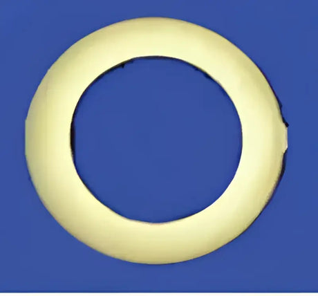 06465 Hose End Fitting Seal