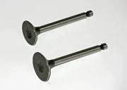 07-024 Valve Set Trx 400 Fw 95 98 