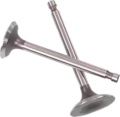 07-031 Valve Set Trx500 Foreman 05 12