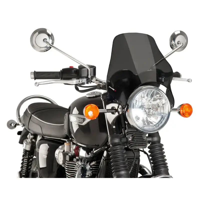 0869F Windscreen Naked Headlight Mount Dark Smoke 