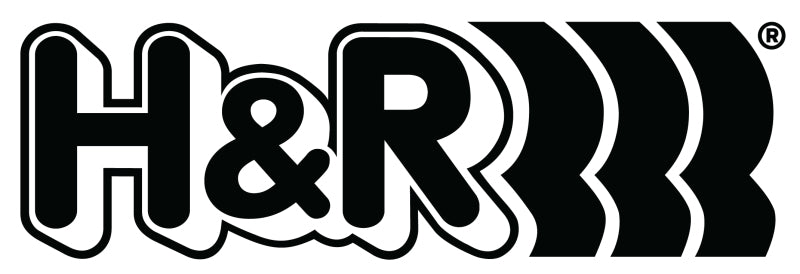 H&R 00-04 Volkswagen Golf 4Motion/Jetta 4Motion MK4 Sway Bar Kit - 25mm Front/21mm Rear - 72431