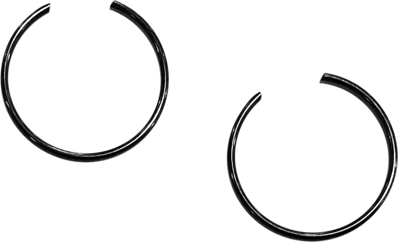 09-691C Circlips 