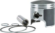 09-717 Piston Pol 
