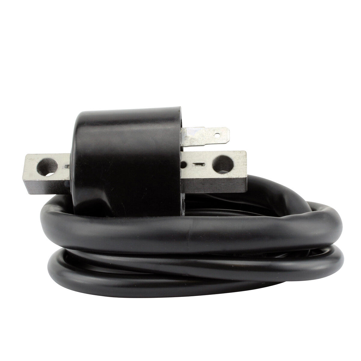 RM Stator External Ignition Coils Electrical RM06158