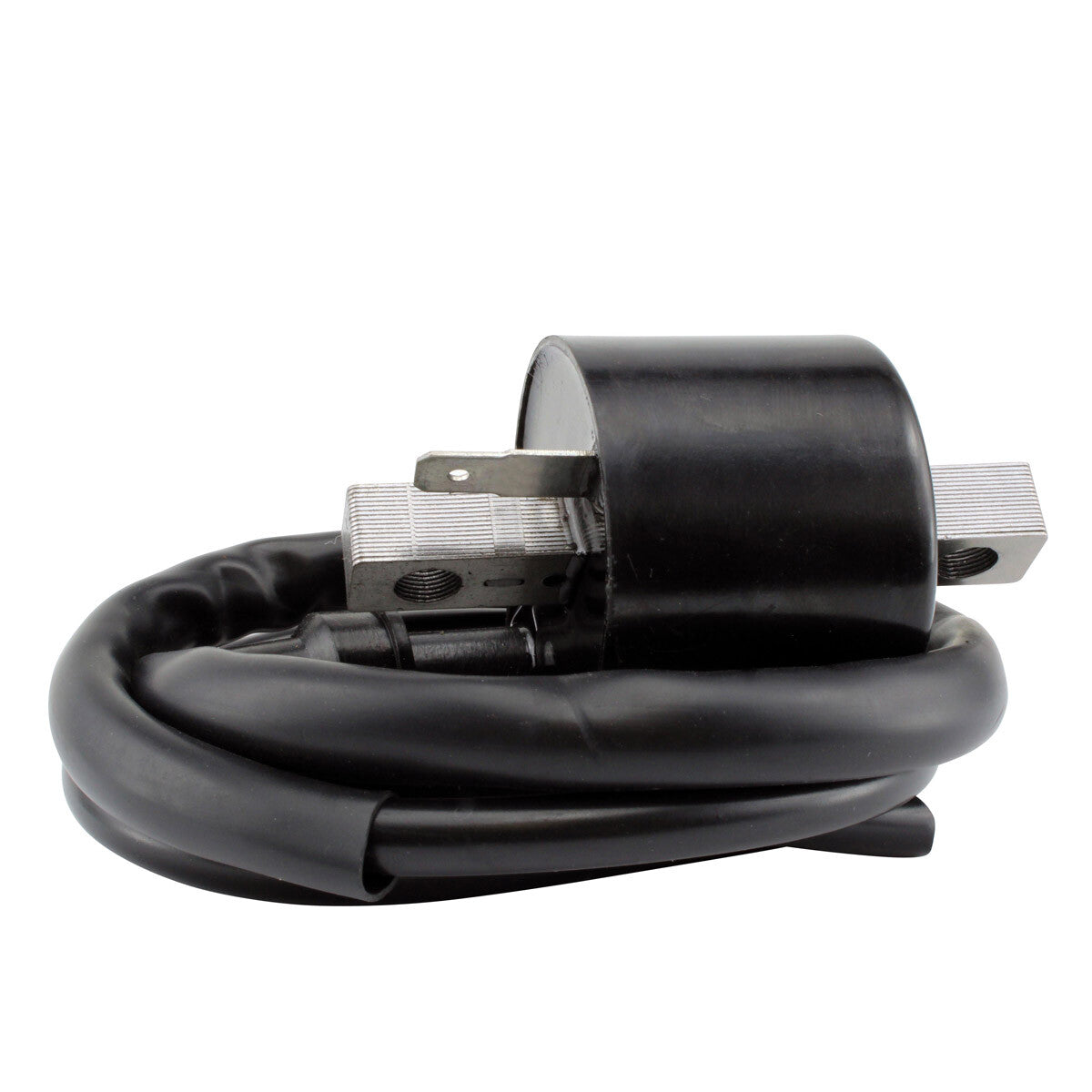 RM Stator External Ignition Coils Electrical RM06158