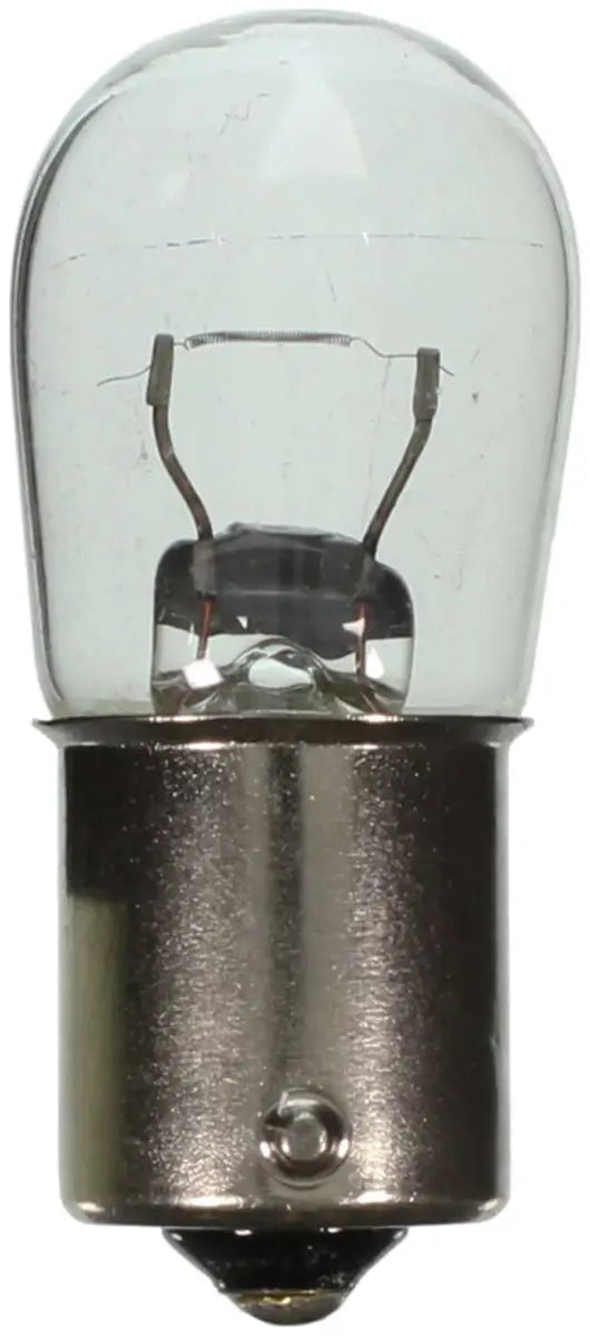 1003 Trunk Light Bulb