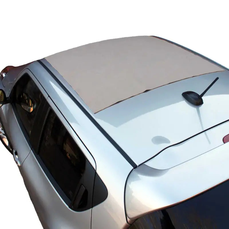 100650 Cargo Bag Protective Mat