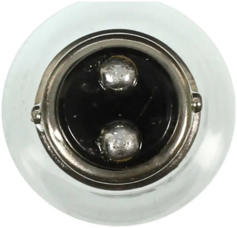 1034 Turn Signal Light Bulb