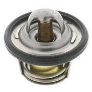 1071-198 Motor Rad Am Thermostat