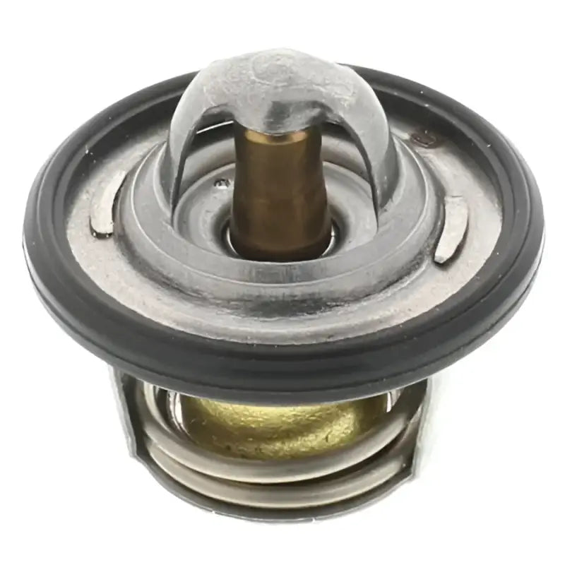 1071-198 Motor Rad Am Thermostat