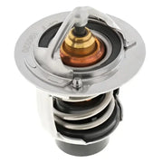 1075-176 Motor Rad Am Termostato