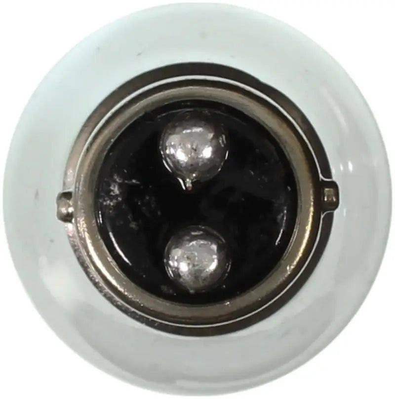 1076 Backup Light Bulb
