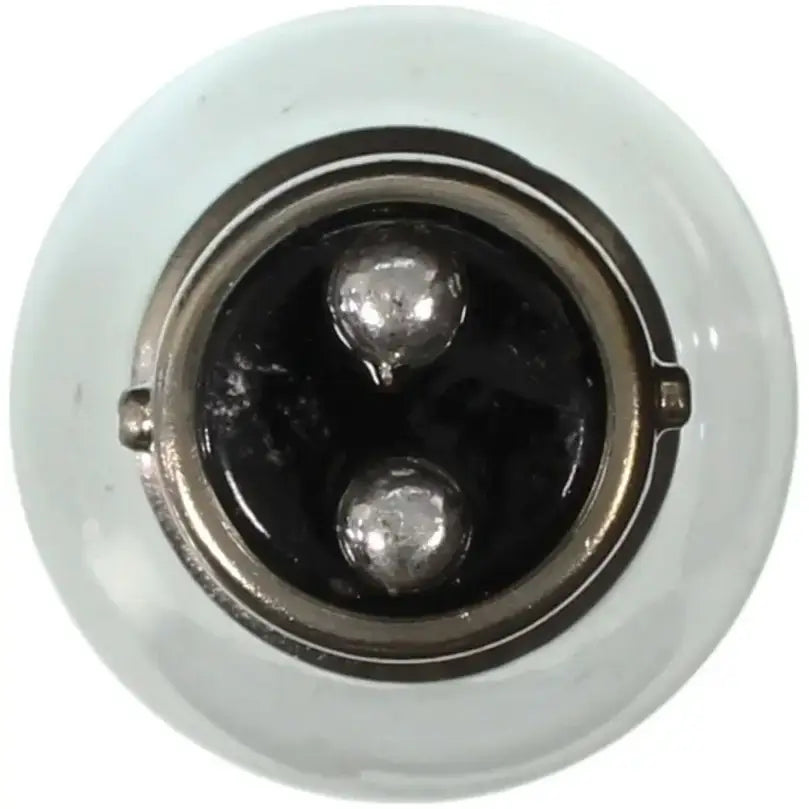 1076 Backup Light Bulb