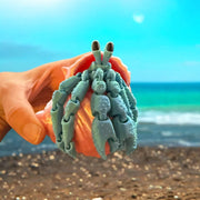 3D Fidget Toy Hermit Crab | Stress-Relieving Interactive Desk Buddy - Morphed 3D