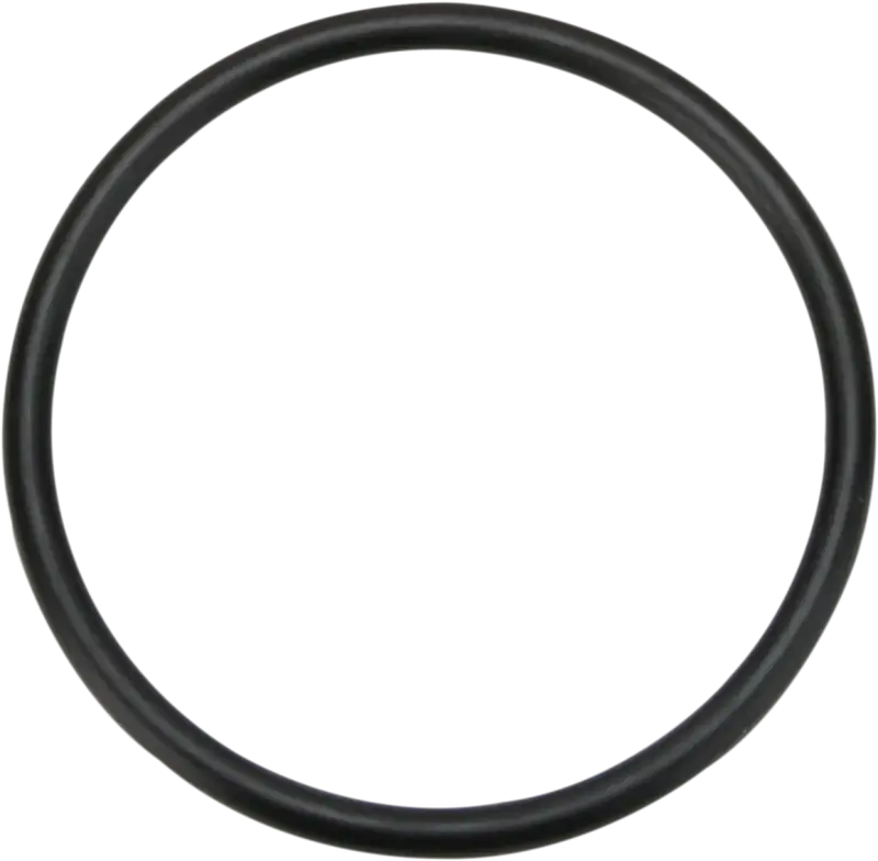 11113 James Gaskets Gasket Oring Main Shft 5Th 10/Pk - Gaskets/Seals