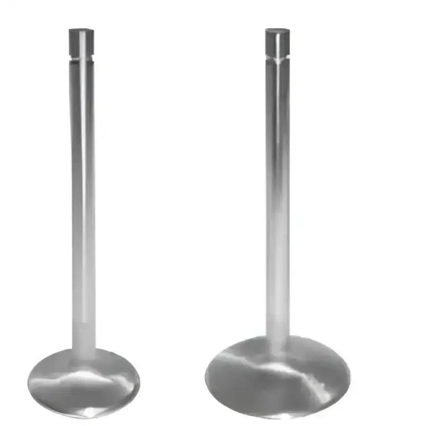11232-8 Intake Valve