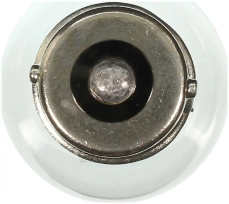 1141 Backup Light Bulb
