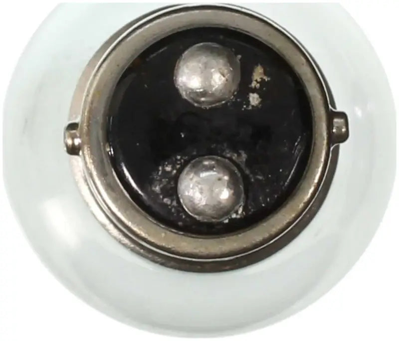 1142 Courtesy Light Bulb