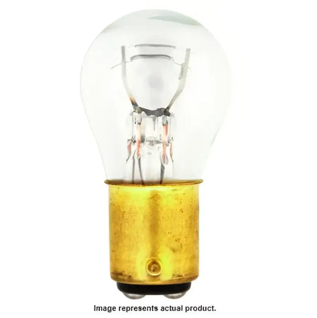 Clear glass lightbulb with brass base for bright illumination and long-lasting performance