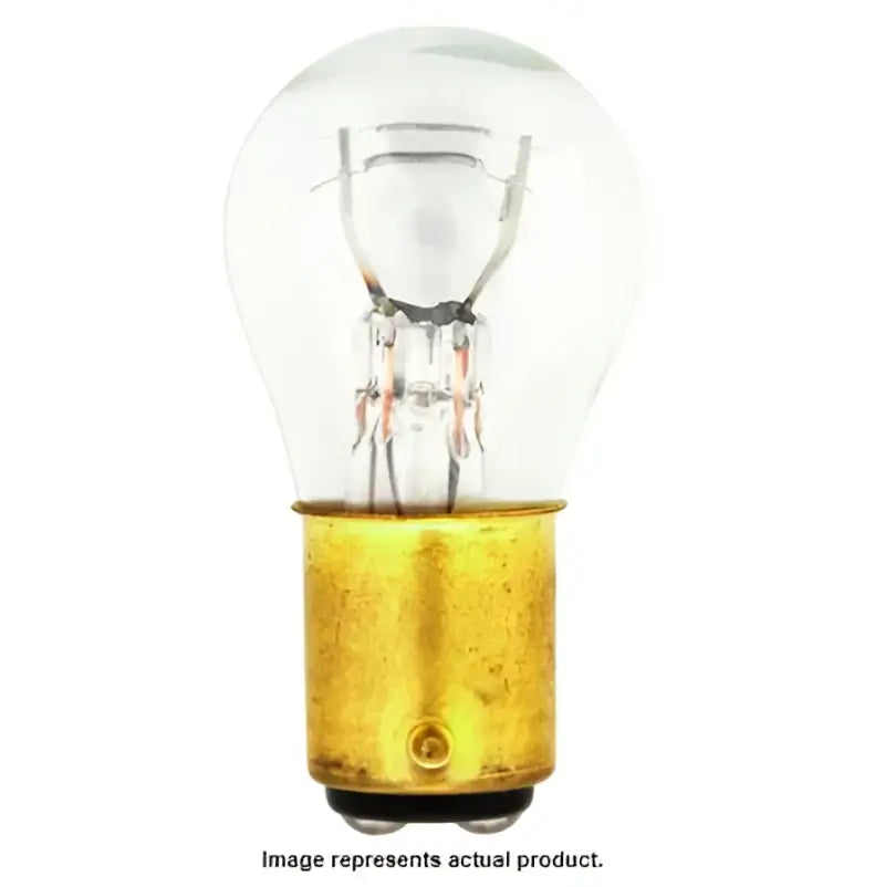 Clear glass lightbulb with brass base for bright illumination and long-lasting performance