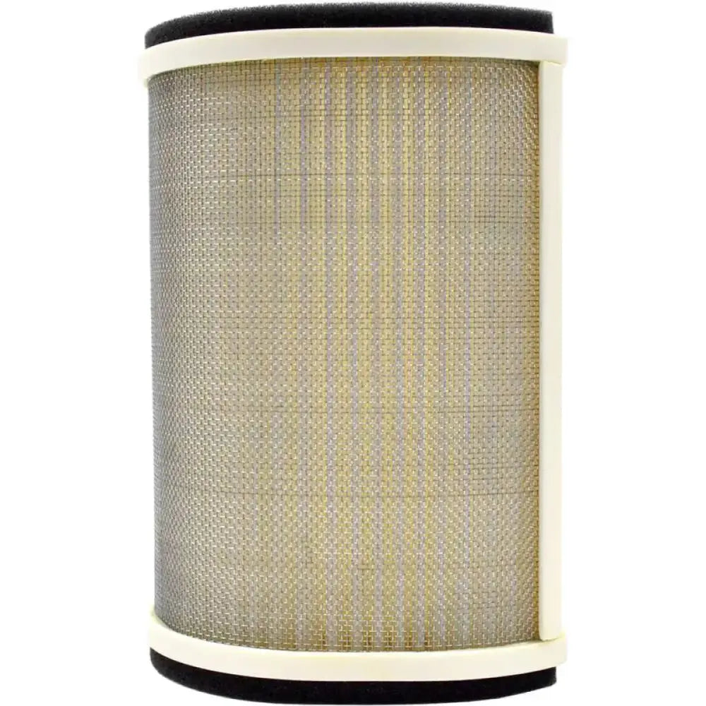 EMGO 12-95842 Air Filter