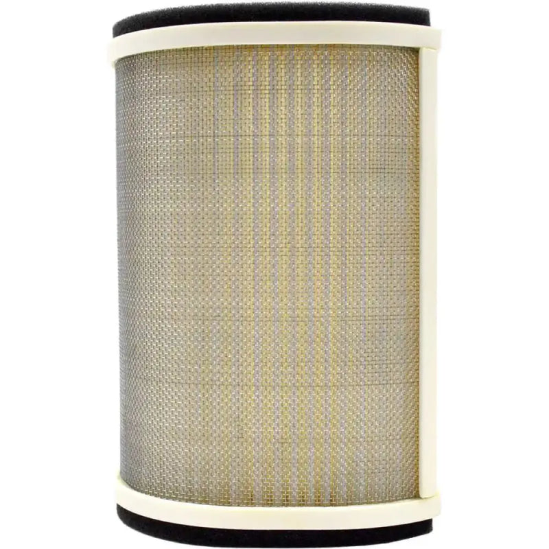 EMGO 12-95842 Air Filter