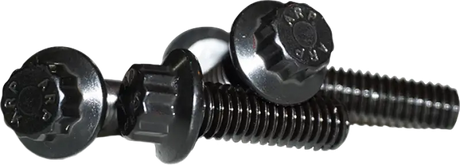 12 Point Front Rotor Bolts Black 5/16 18x1 - LYNDALL BRAKES