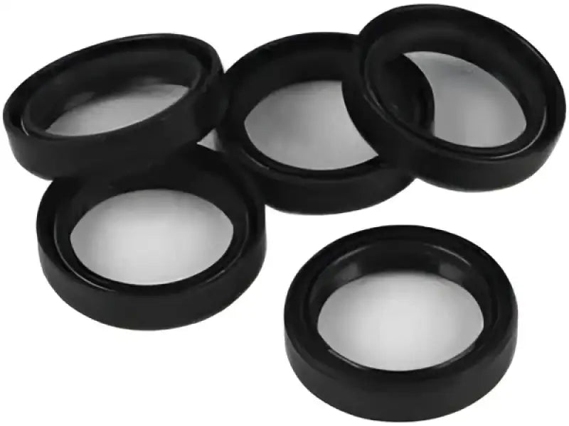 12047-DL Gasket Seal Wheel Brng Flt Flt Classic 5/Pk