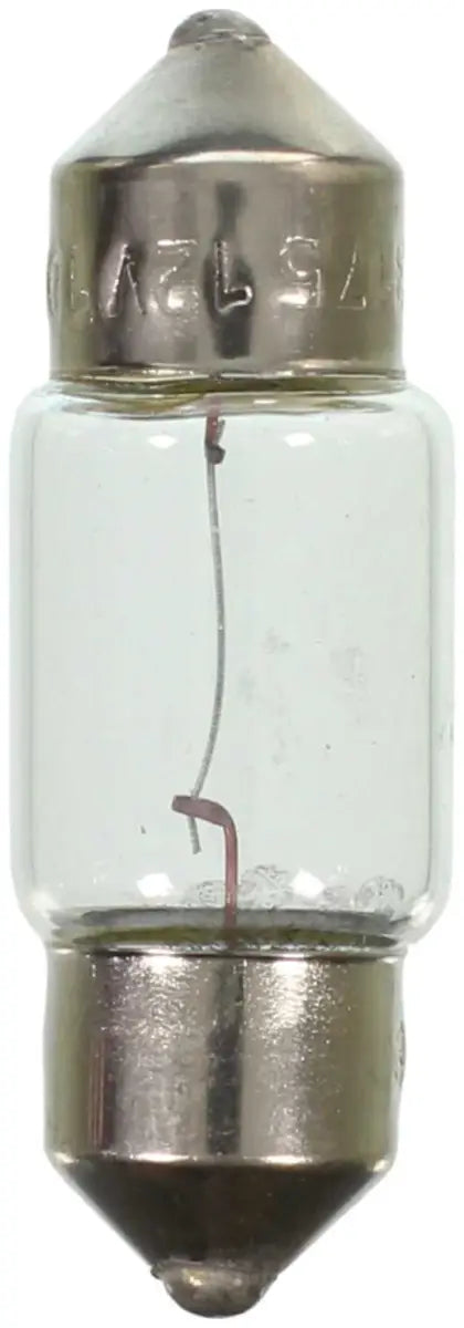 12100 Dome Light Bulb