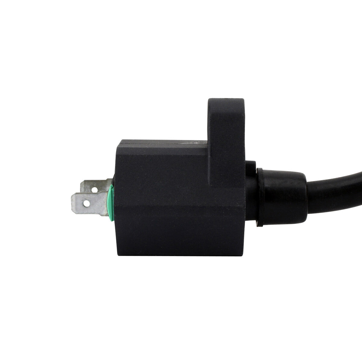 RM Stator External Ignition Coils Electrical RM06172