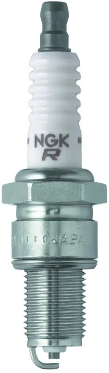 1233 Spark Plug