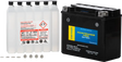 Battery Ctx20hl Bs Ft Maintenance Free - FIRE POWER