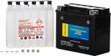 Battery Ctx20hl Bs Ft Maintenance Free - FIRE POWER