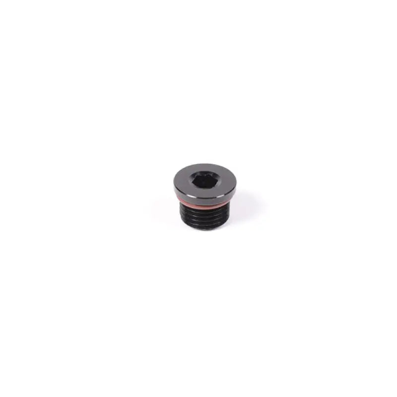 Radium Engineering 14-0351 14-0351 Radium Engineering Universal 10AN Orb Plug