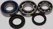 ALL BALLS 14-1060 Chain Case Bearing & Seal Kit