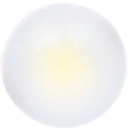 168LED.BP License Plate Light Bulb - LED