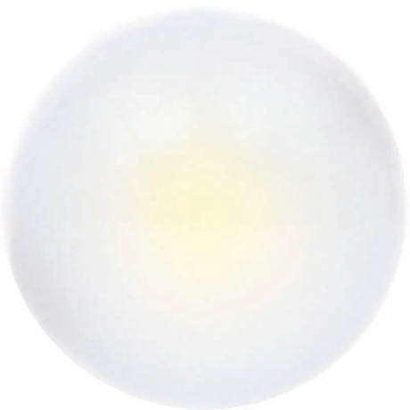 168LED.BP License Plate Light Bulb - LED