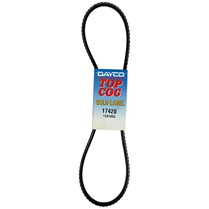 17420 Accessory Drive Belt