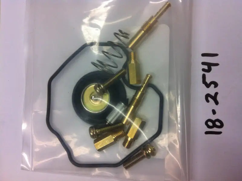 18-2541 K&L Carburetor Repair Kit - RV and Auto Parts