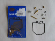 18-2573 Carburetor Repair Kit
