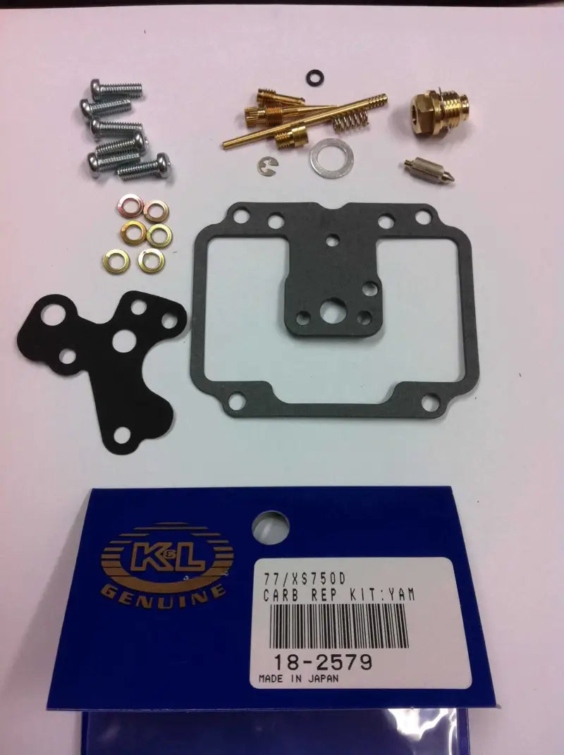 18-2579 Carburetor Repair Kit