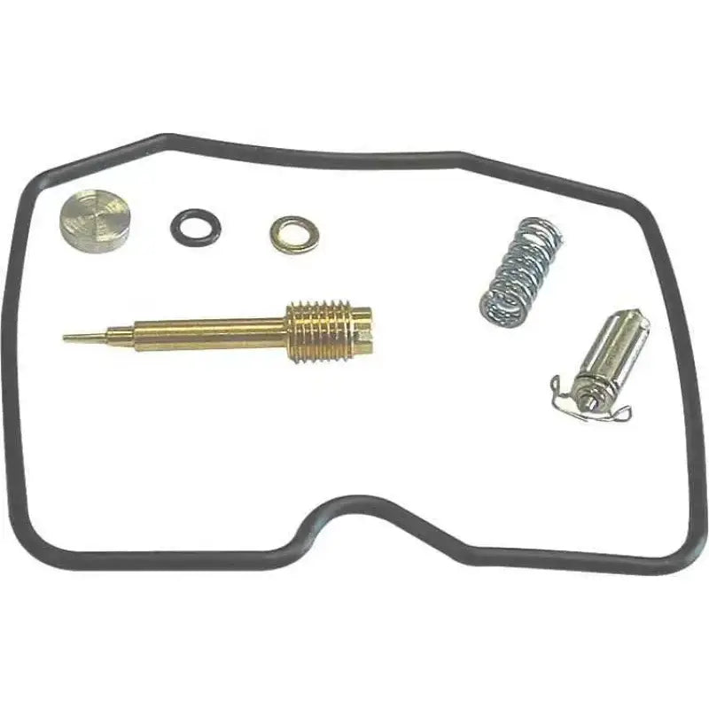 18-5293 Carburetor Repair Kit