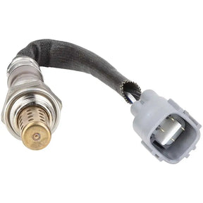 18076 Oxygen Sensor