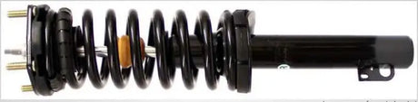 181377R Shock Absorber