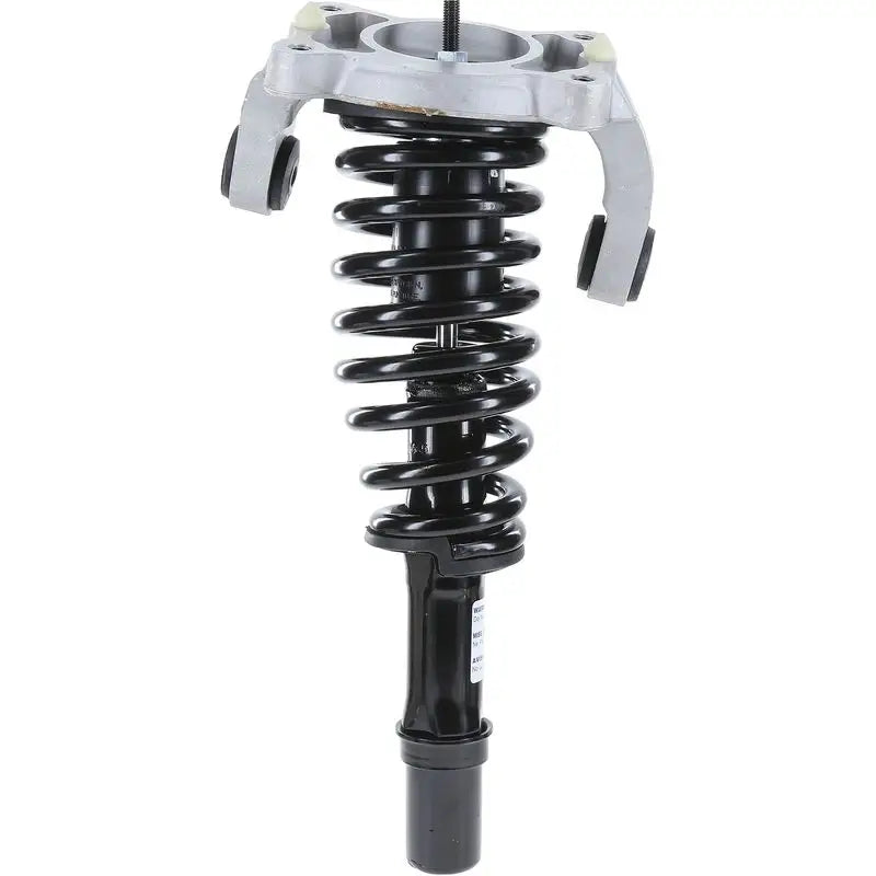 181565L Monroe Shock Roadmatic Strut Assembly