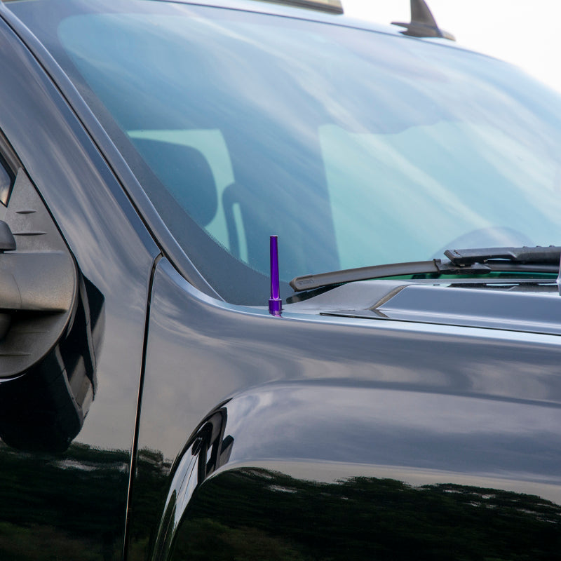 Wehrli WCF100041-GB Wehrli 07.5-19 Chevrolet 6.6L Duramax Billet TIG Torch Stubby Antenna - Gloss Black