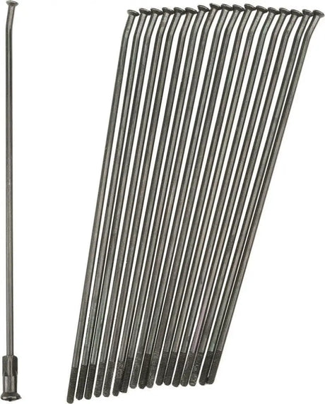 19-B223223-2 Pro-Wheel Double Butted Spokes Black/Black Rear 19 Inch 36/Pk - RV and Auto Parts